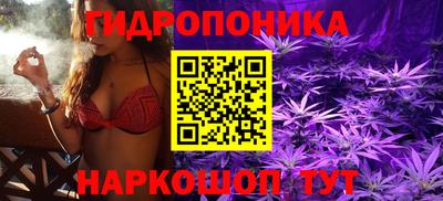 mix Тара