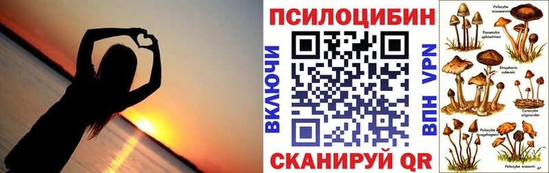 Галлюциногенные грибы MAGIC MUSHROOMS  купить наркотики цена  Прохладный 