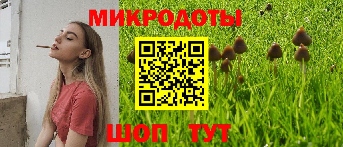 Псилоцибиновые грибы мицелий Прохладный