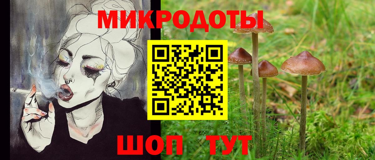 Прохладный  Псилоцибиновые грибы MAGIC MUSHROOMS  Вход с VPN 